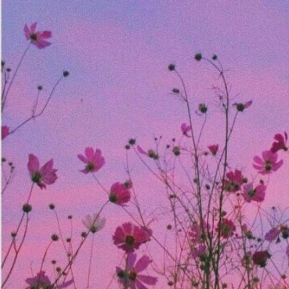 Meet your Posher, Ashley - Picture 1 of 1